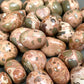 Leopardite Jasper Tumbles