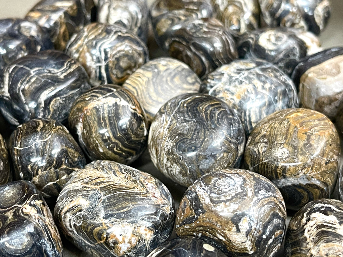 Stromatalite Tumbles Stromatalite Tumbles