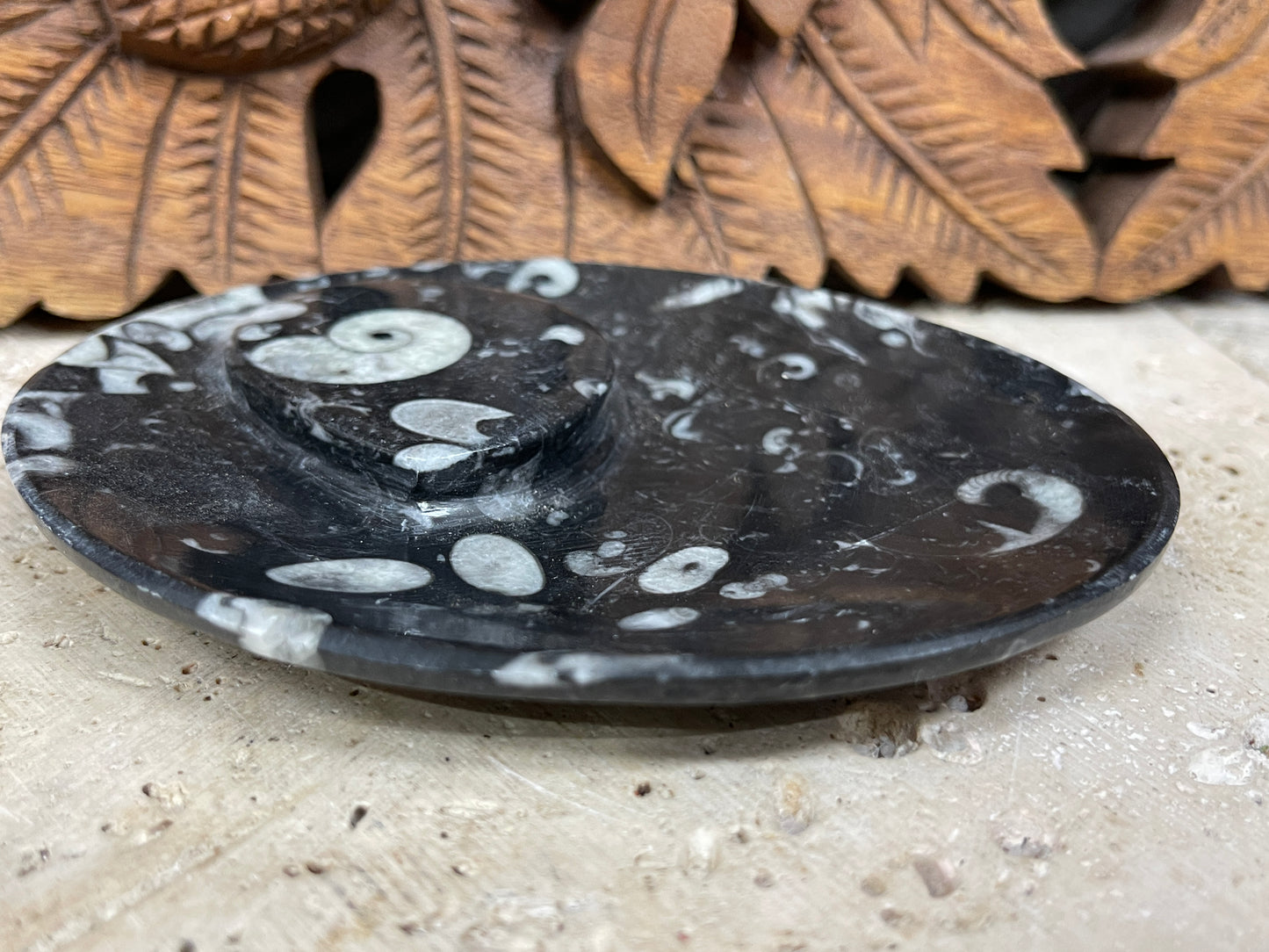 Ammonite fossil soap dish or jewelry dish