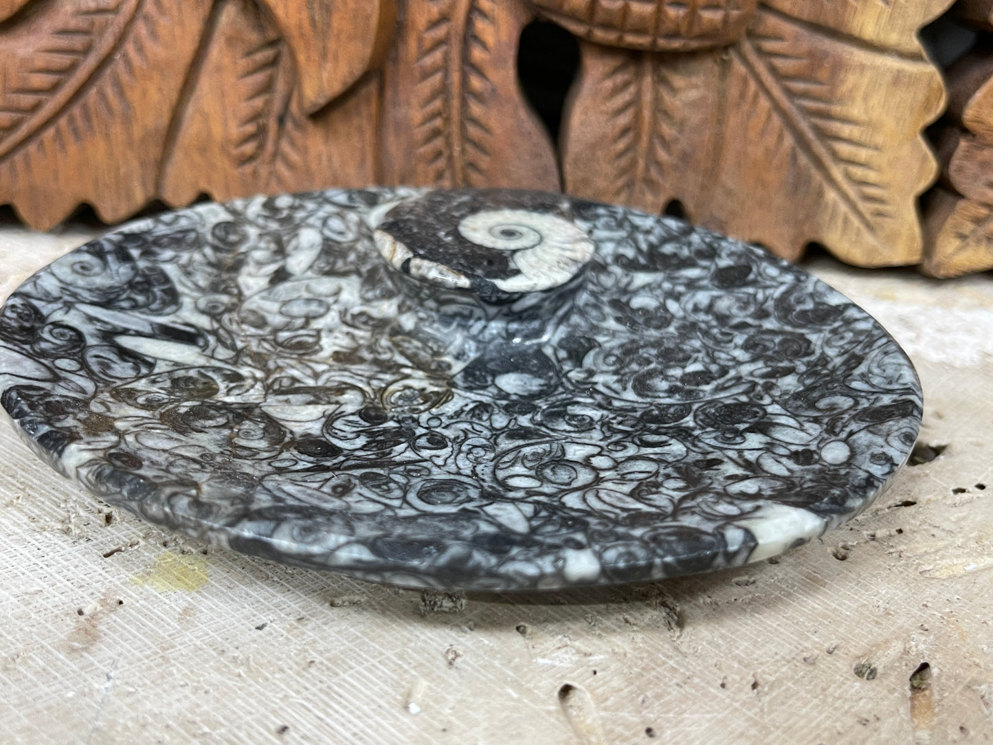 Ammonite fossil soap dish or jewelry dish