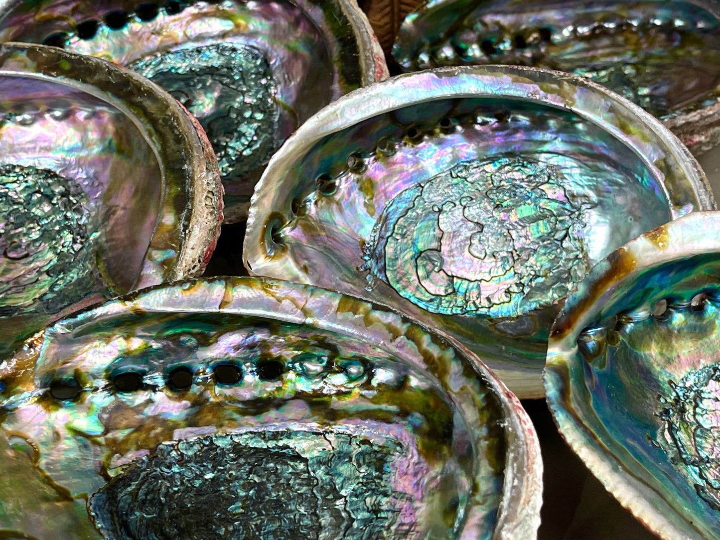 Abalone Shell Smudge Burners