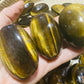 Tigers Eye Eggs