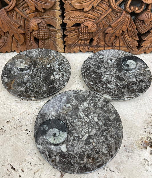 Ammonite fossil jewelry / key dish