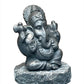 Shungite Buddha & Ganesh