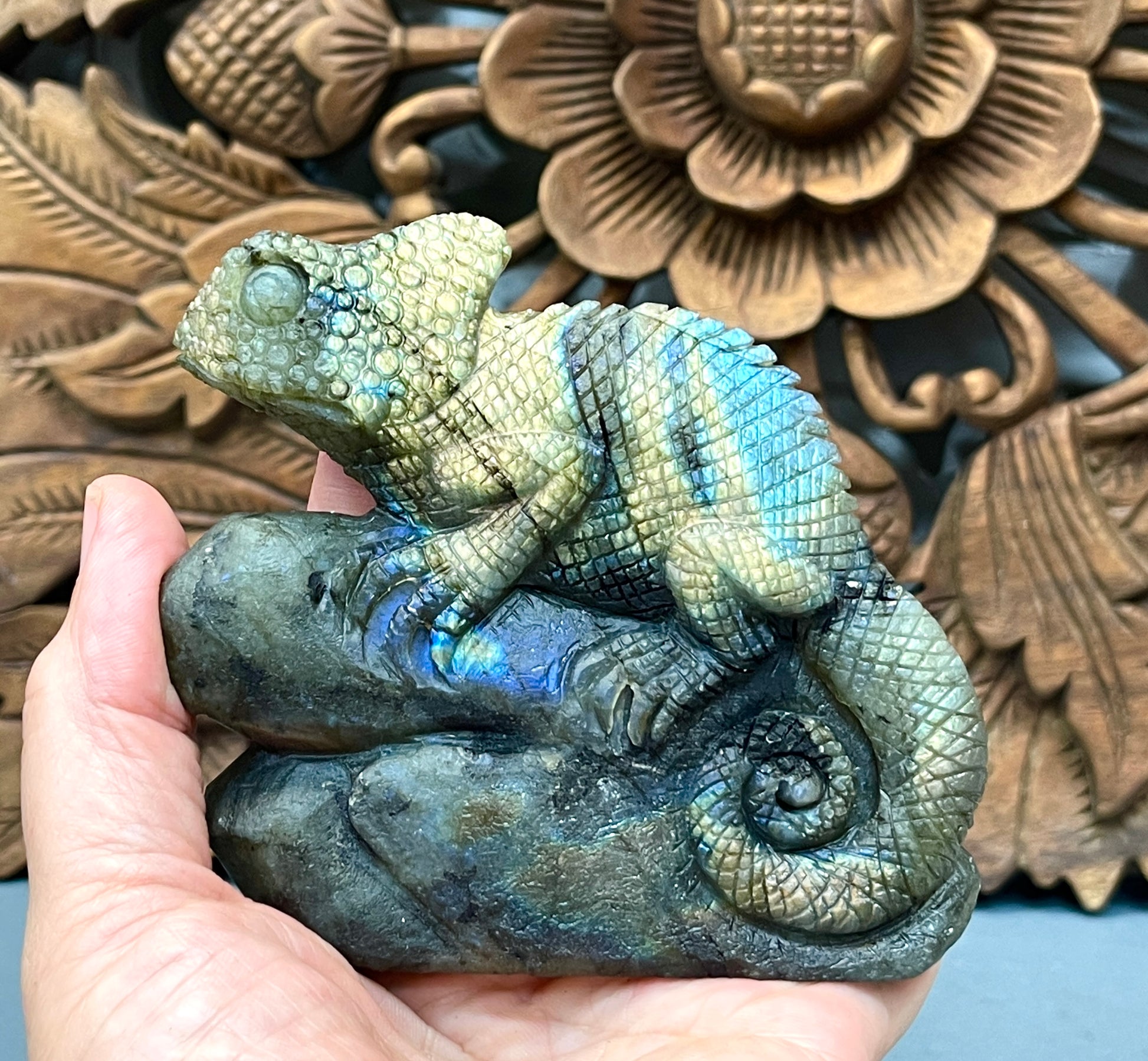 Labradorite Chameleons Labradorite Chameleons