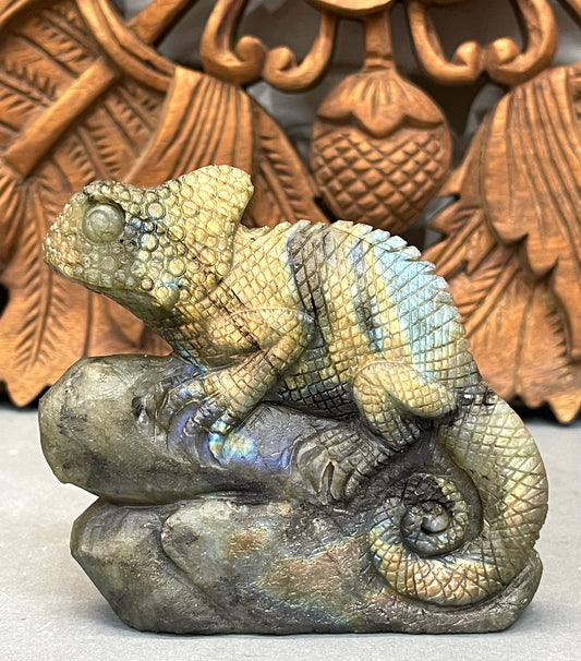 Labradorite Chameleons