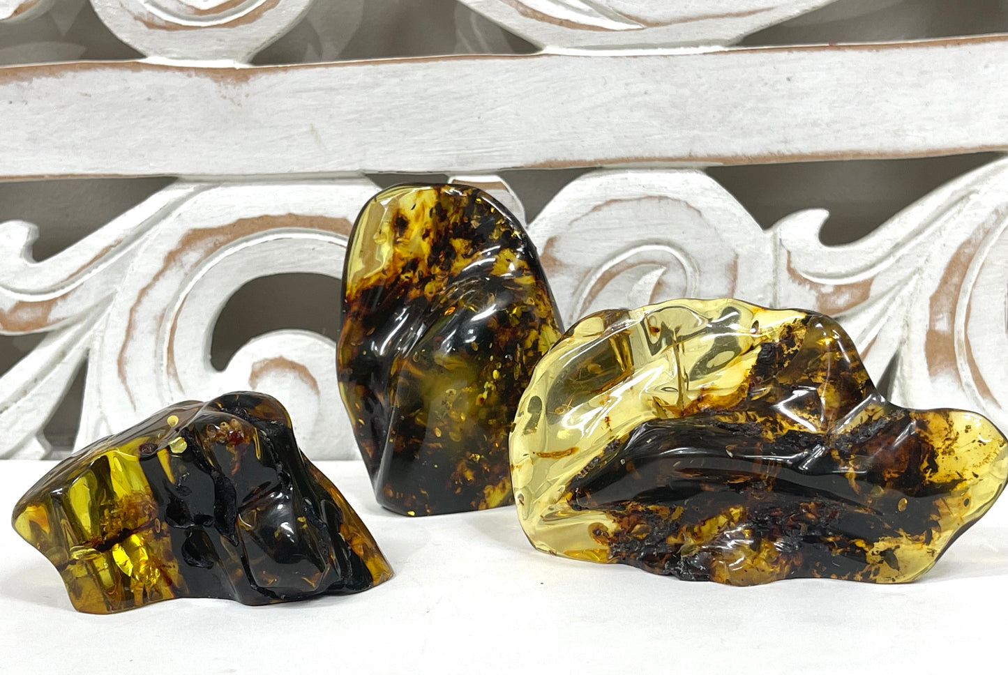 Polished Amber Specimens