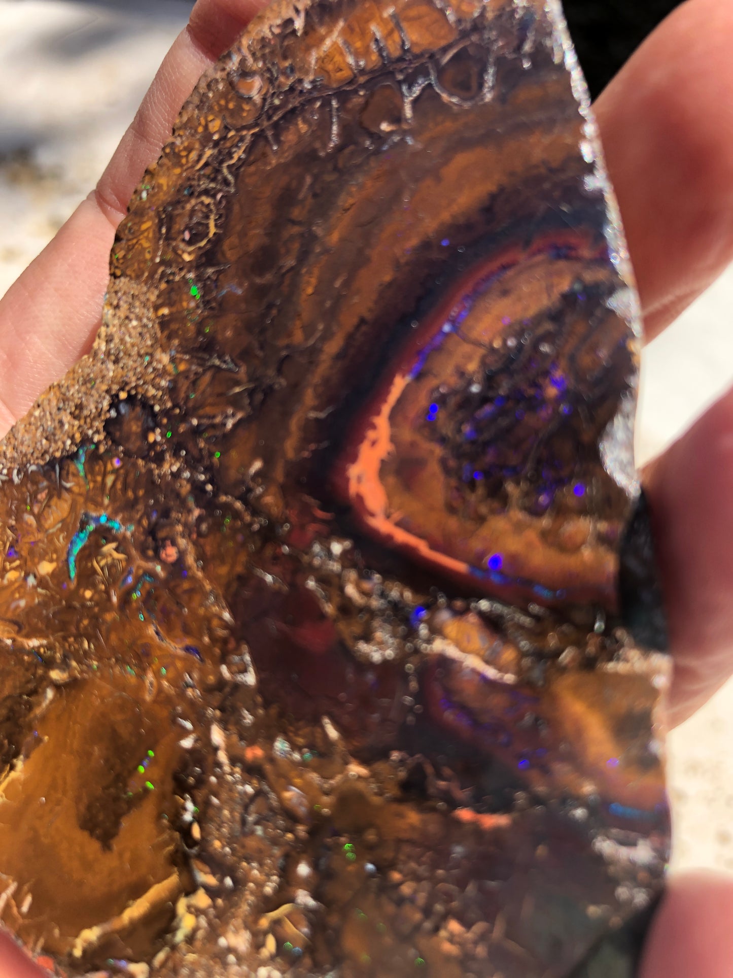 X-Large Australian Boulder Opal Slabs