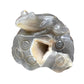 Carved Agate Frog