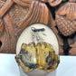 Natural Baltic Amber Slice Earrings