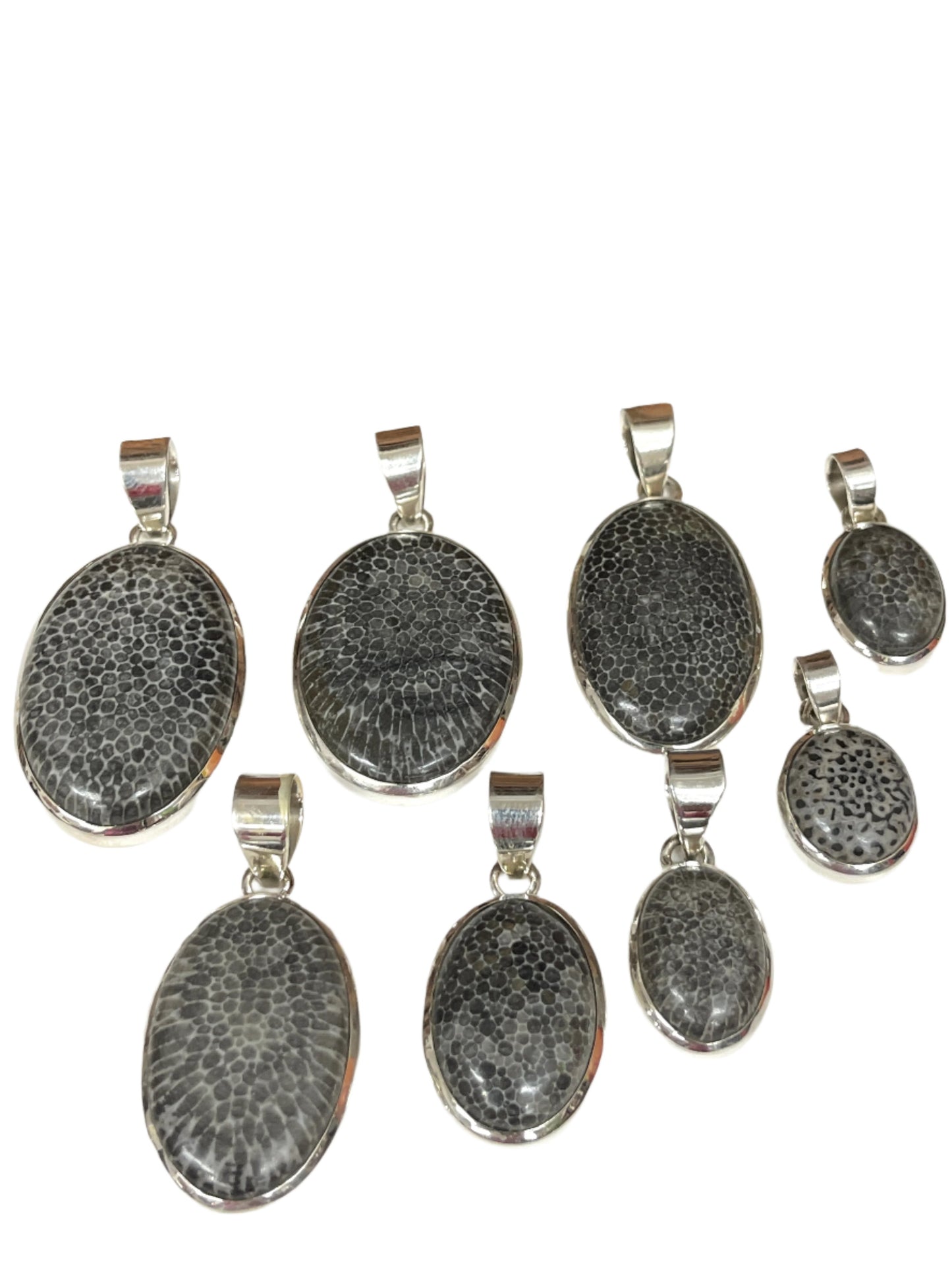 Fossilized Dinosaur Bone Pendants