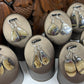 Schalenblende Earrings from Poland