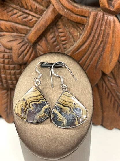 Schalenblende Earrings from Poland