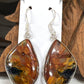 Sterling Multicolor Pietersite Earrings