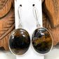 Sterling Multicolor Pietersite Earrings