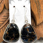 Sterling Multicolor Pietersite Earrings