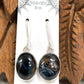 Sterling Multicolor Pietersite Earrings