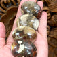 Petrified Wood Palm Stones