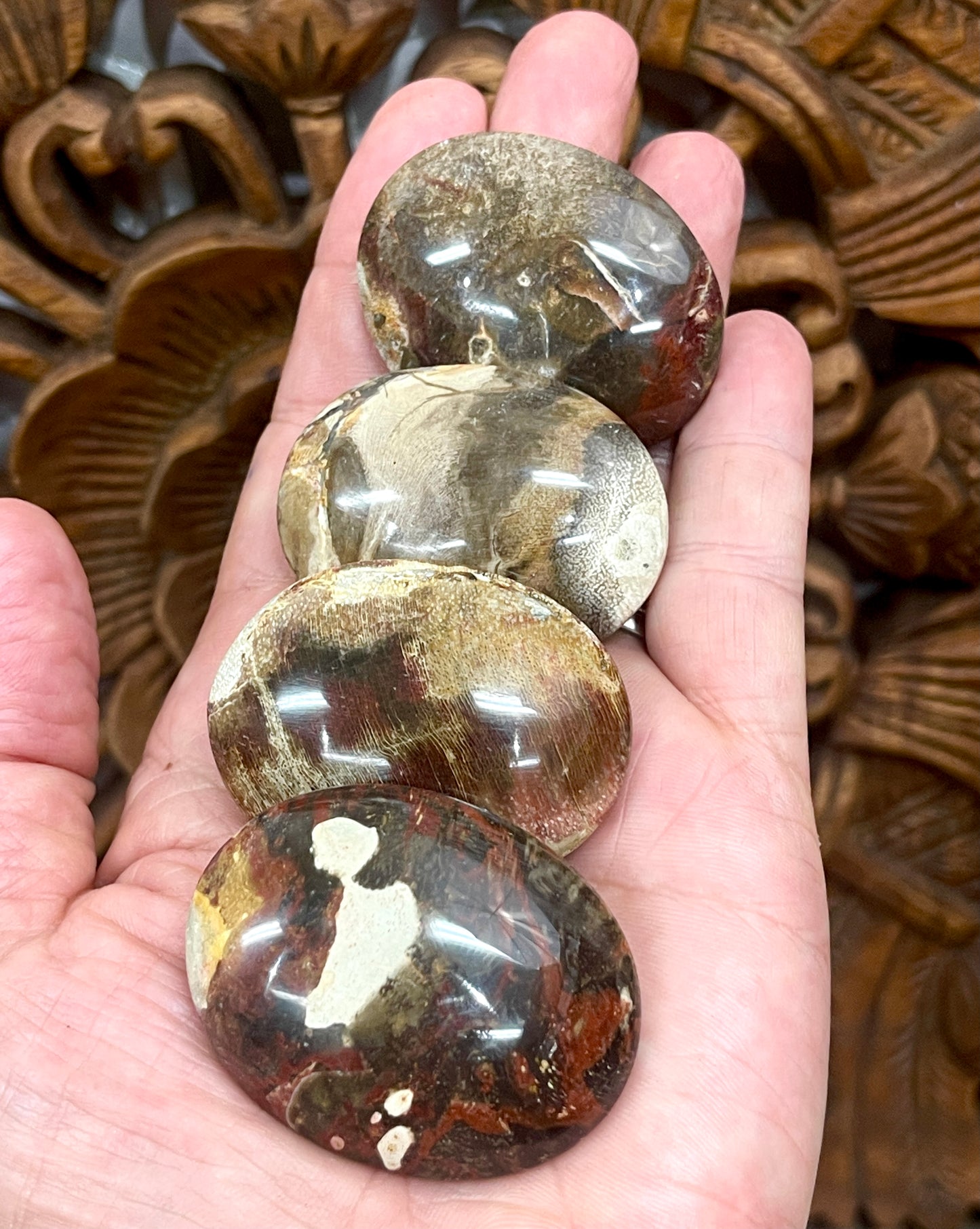 Petrified Wood Palm Stones