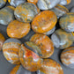 Bumble Bee Jasper Palm Stones