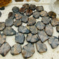 Chiastolite / Andalusite Freeforms Palm Stones
