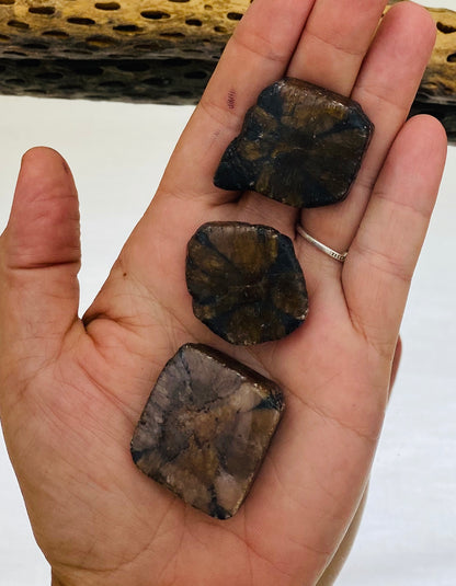 Chiastolite / Andalusite Freeforms Palm Stones