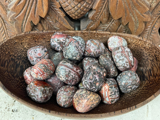 Leopard Skin Jasper Tumbles