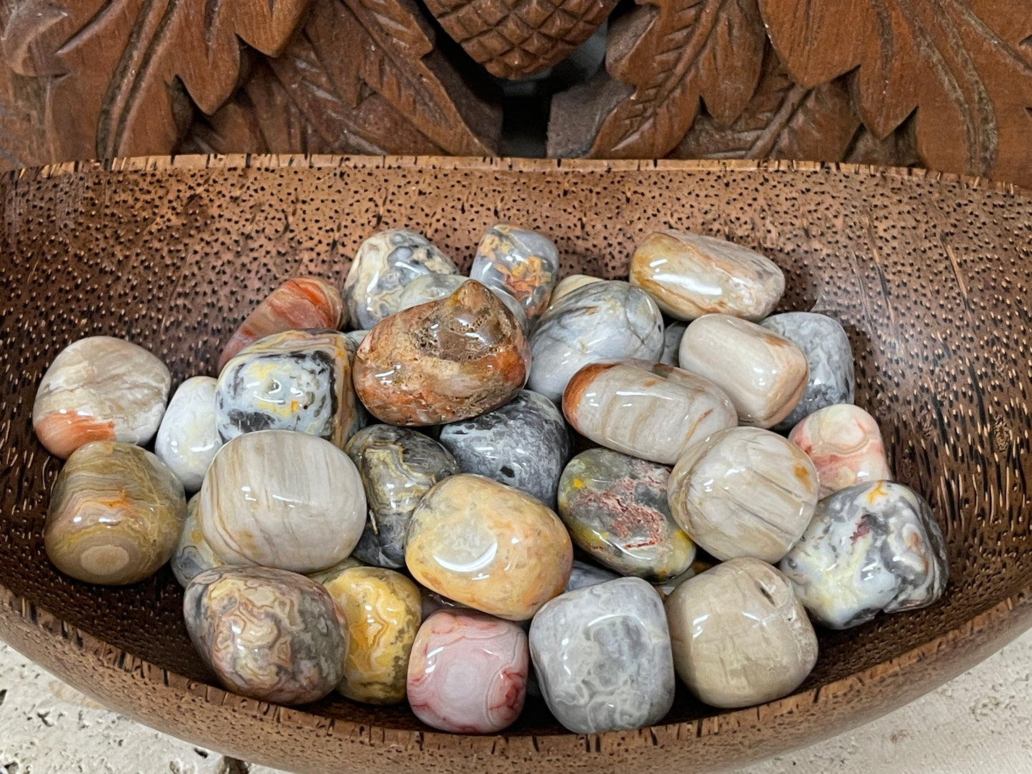 Petrified Wood Tumbles