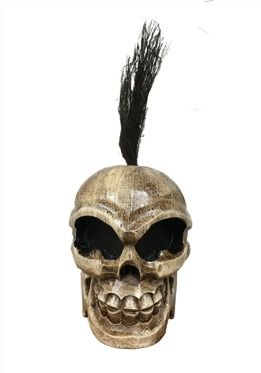 Skull with Hair Spike