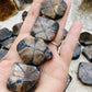 Chiastolite / Andalusite Freeforms Palm Stones
