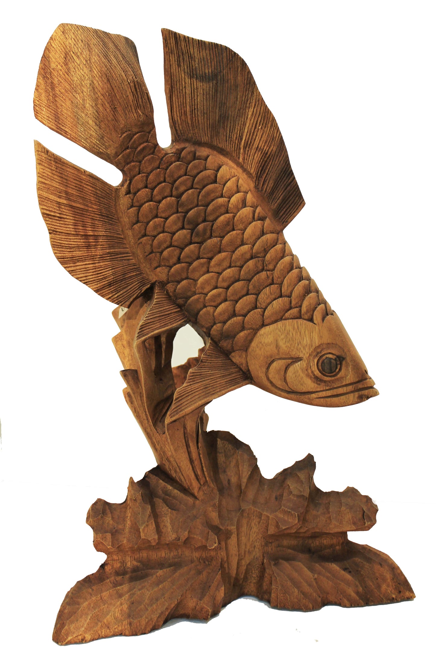 Beautifully Detailed Fish on Coral Carving