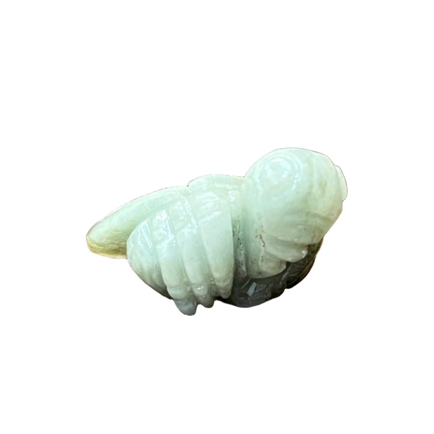 Burmese Jade Insect Carving