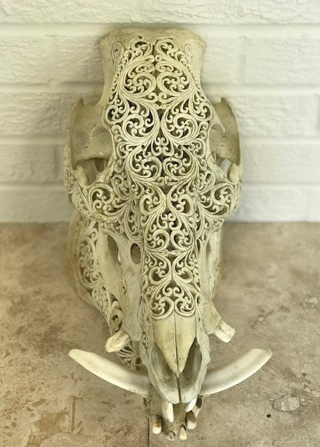 Intricately Carved Wild Boar Skulls with Spirals