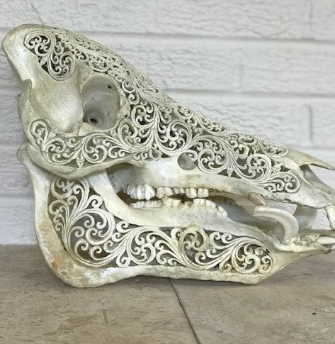 Intricately Carved Wild Boar Skulls with Spirals