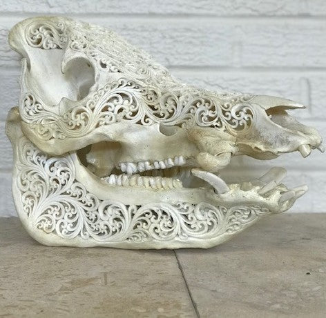 Intricately Carved Wild Boar Skulls with Mandala