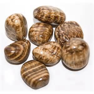 Aragonite Tumbles